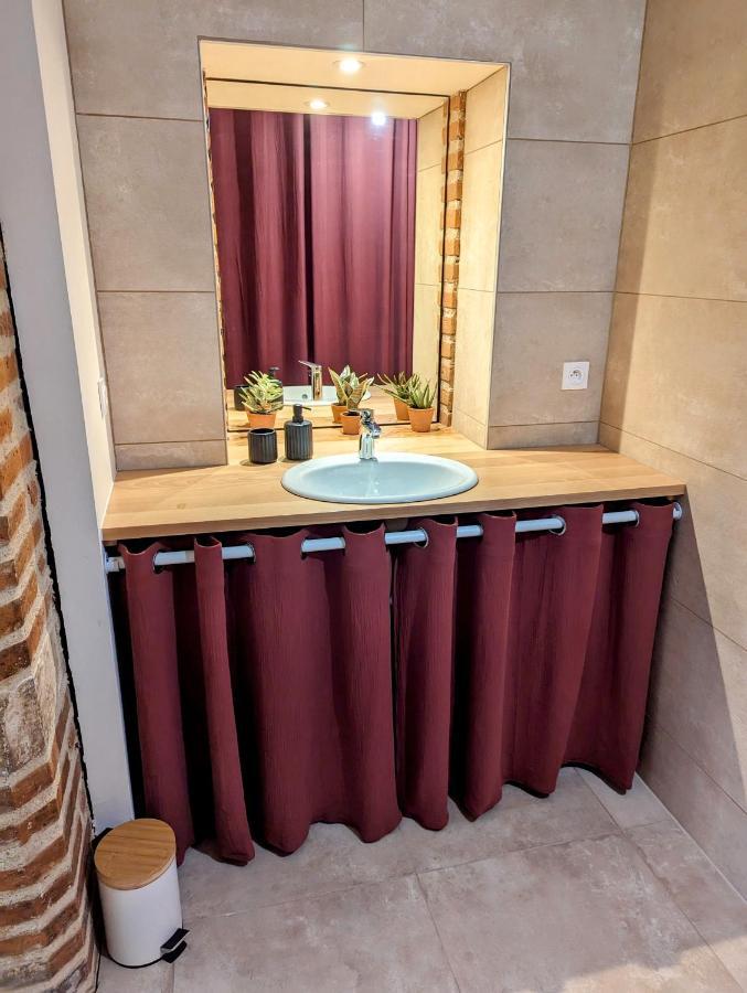 Douceur, Elegance Au Coeur D'Albi Apartamento Exterior foto
